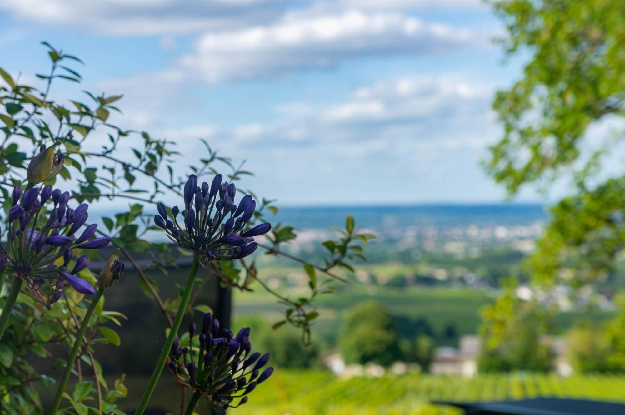 Le Domaine De La Tour Des Vents Bed & Breakfast Bergerac Exterior photo